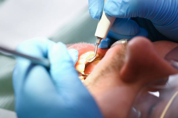 Best Pediatric Emergency Dentist in Pine Knot, KY